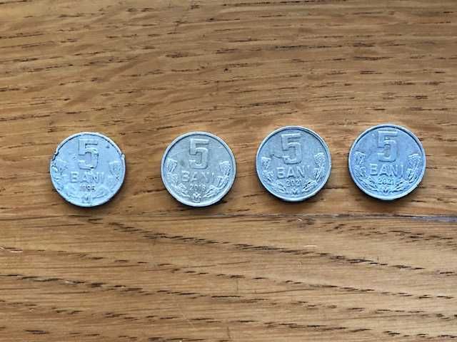 Обиходные монеты Молдова 5, 10, 25, 50 бань разных годов выпуска