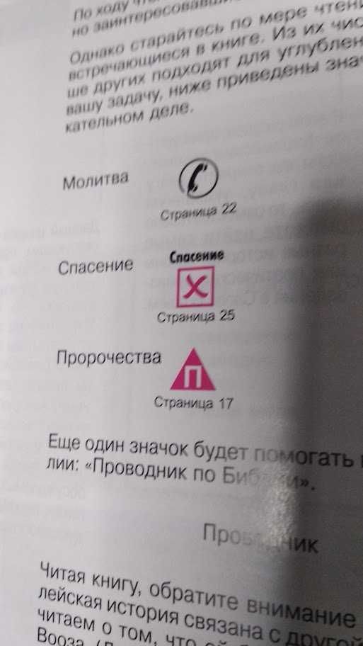 Проводник по Библии. Кэрин Маккензи