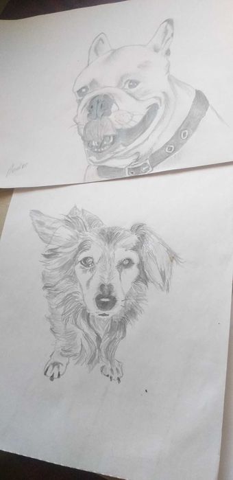 Wykonam rysunek ze zdjęcia