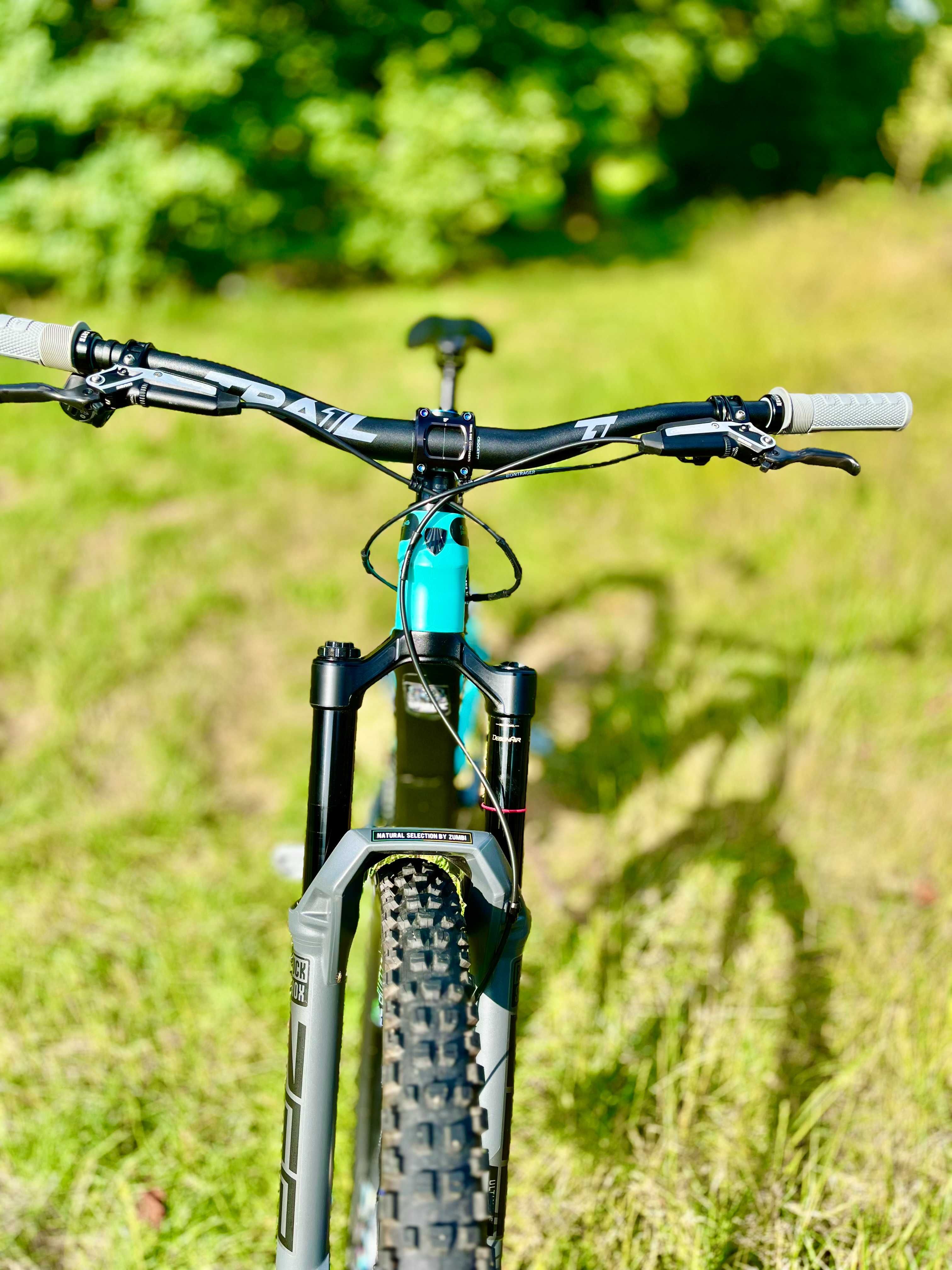 TREK Slash Custom