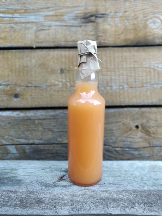 Ocet różany z owoców dzikiej róży leśnej #probiotyk na odporność