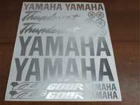 Наклейки на мотоцикл Ямаха thundercat yzf 600r Yamaha