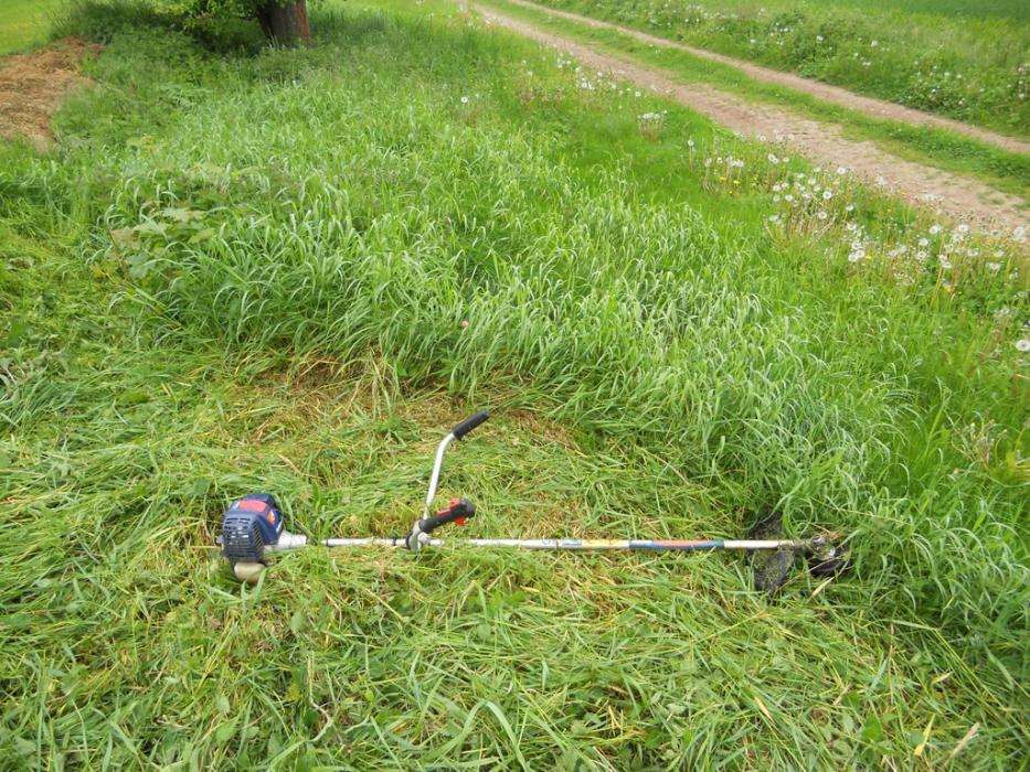 Limpeza de terrenos agrícolas e florestais