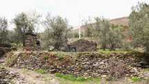 Terreno  para venda