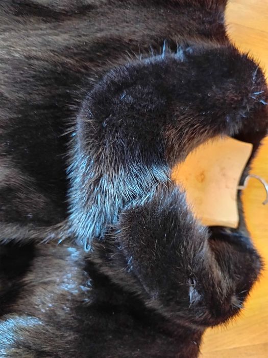 Casaco Vison Preto Impecável