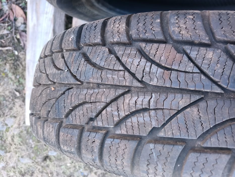 175 65 r14 зимова гума 2 шт Winer Paxaro