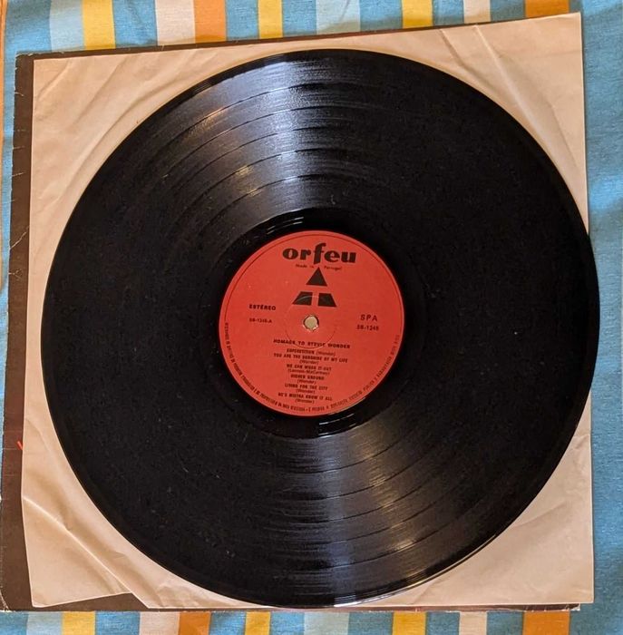 Vinyl Homage to Stevie Wonder
