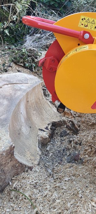 Wycinka drzew Frezowanie pni wywóz gałęzi zrębka