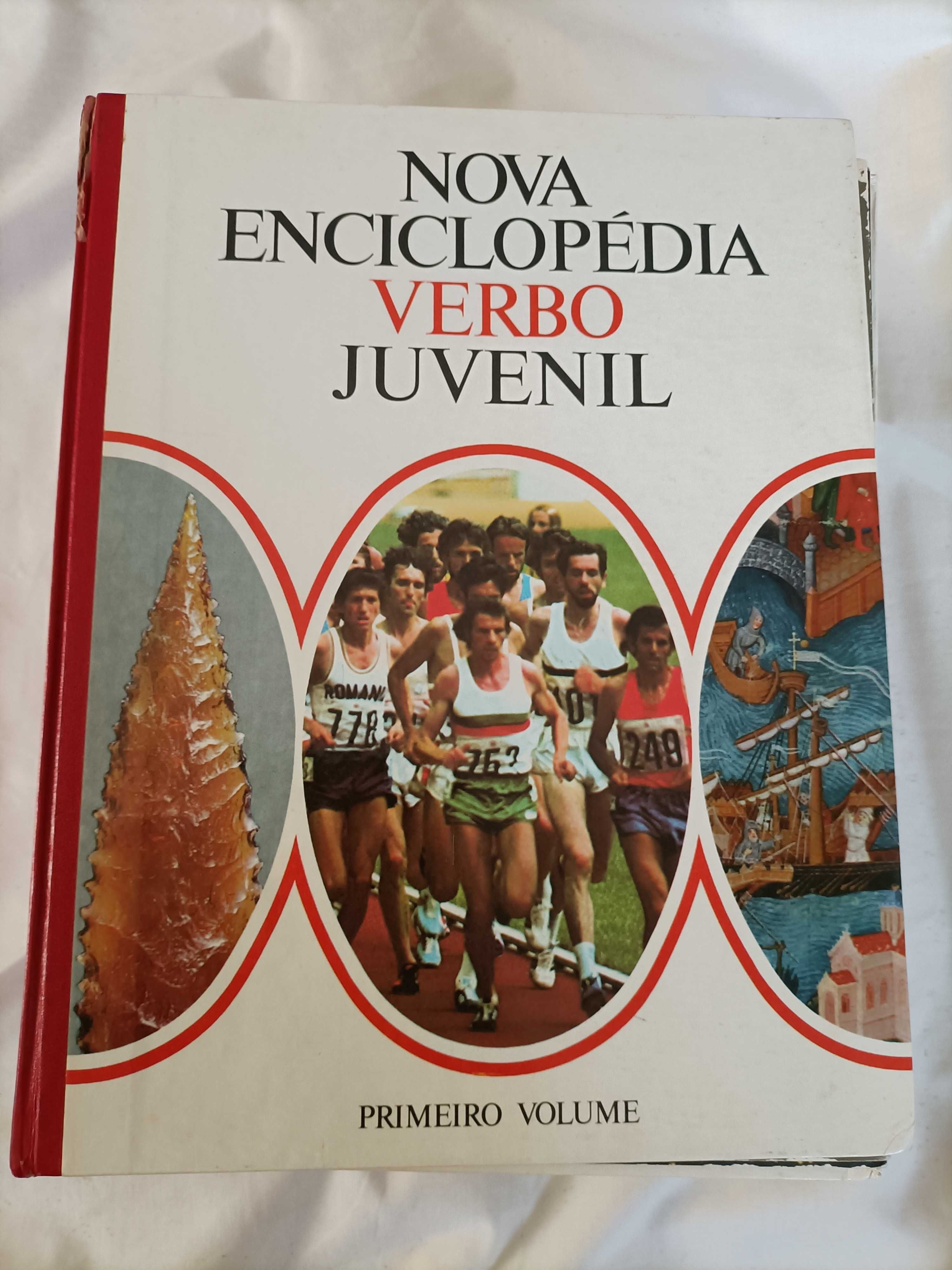 Nova Enciclopédia Verbo Juvenil - 12 Volumes