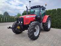 Massey Ferguson 5465 Tuz Wom