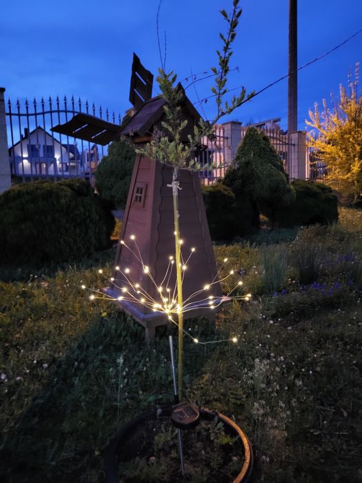 Lampka do ogrodu solarna