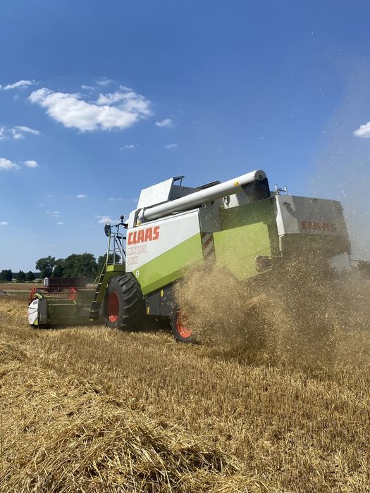 Usługi rolnicze Koszenie omlot zbiór zboża rzepaku kukurydzy słoneczni