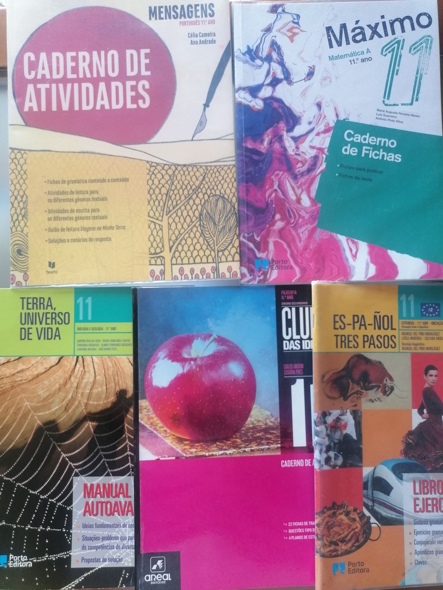 Cadernos de Atividades - 11.º Ano - como novos