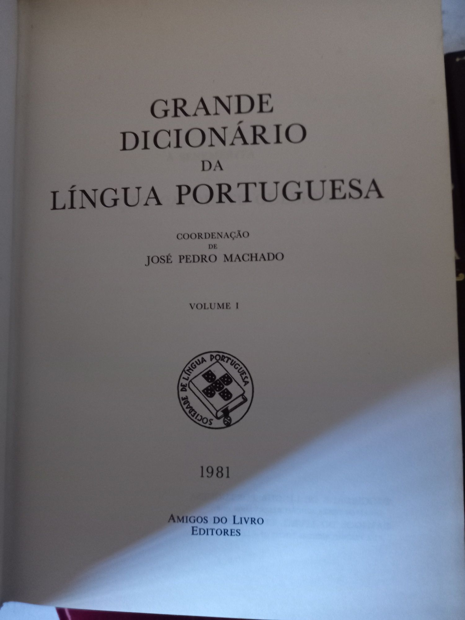 Dicionários...lingua portuguesa