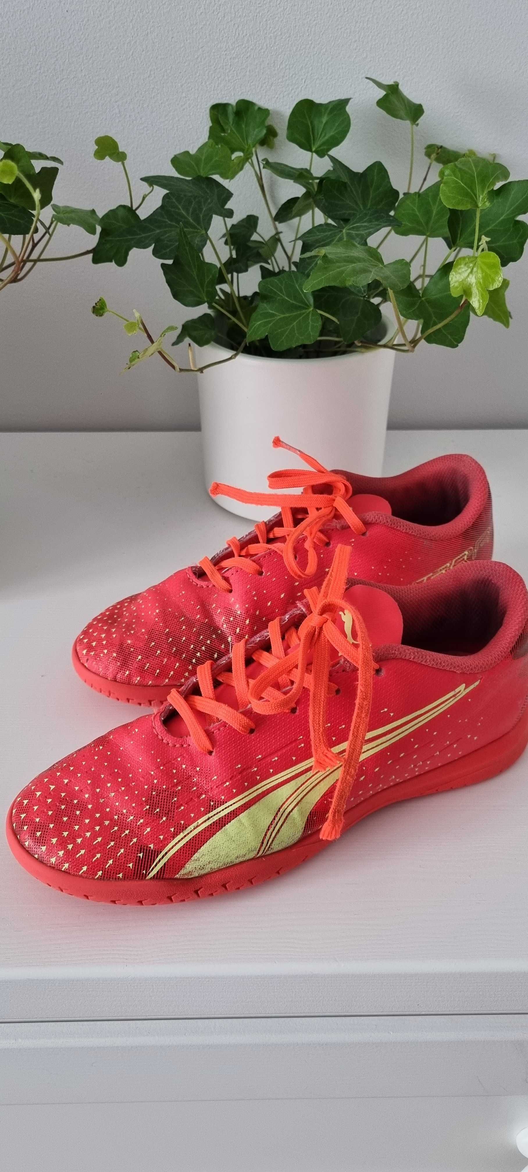 Buty chlopięce pilkarskie halówki Puma r.37