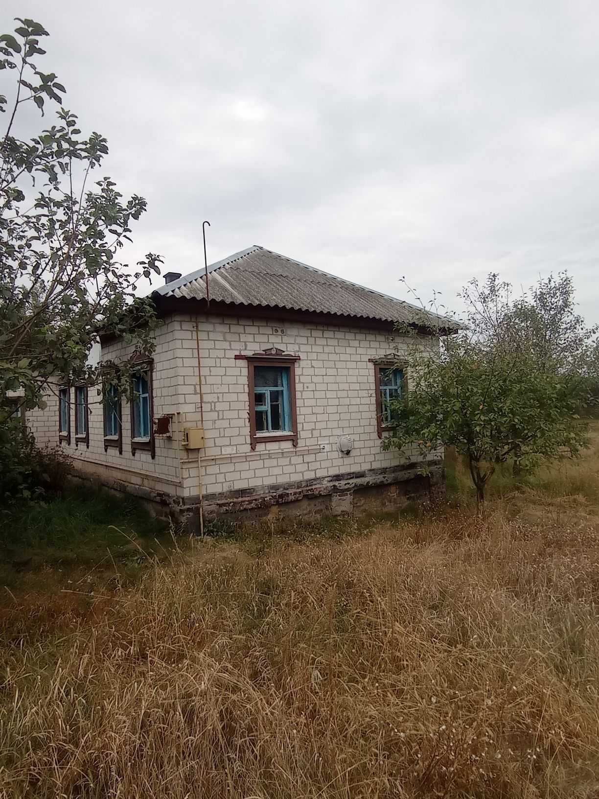 Продам будинок під лісом біля Чернігова.