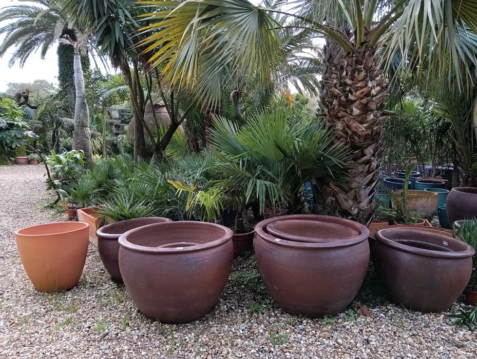 Vasos vidrados, barro, grés, terracota, plastico