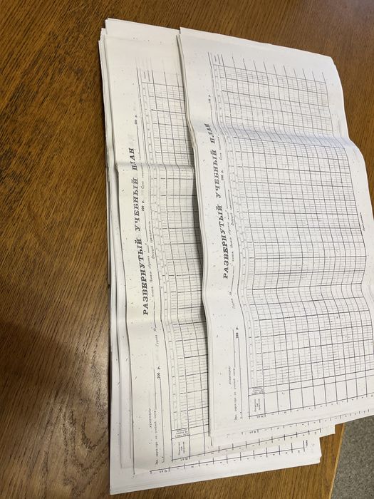 Бланк Развёрнутый учебный план. Пустографка