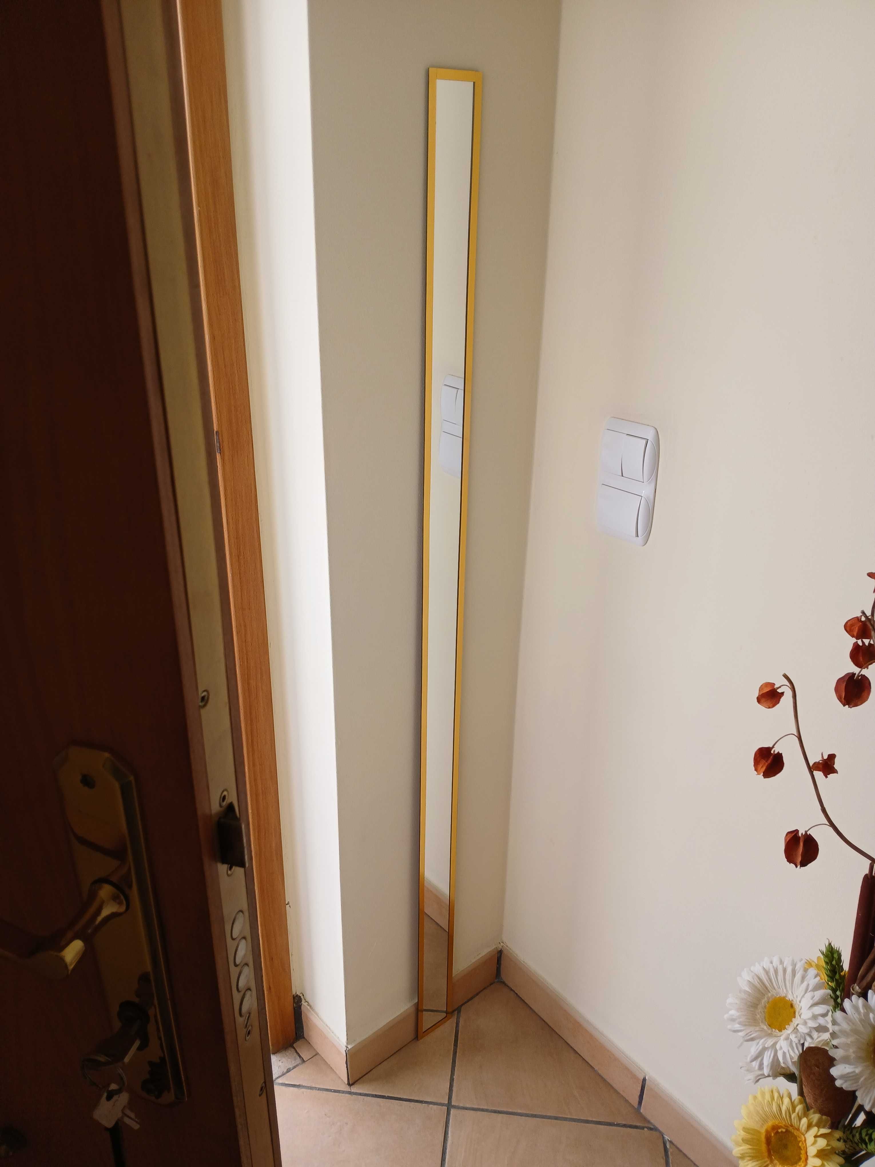 Espelho Comprido Antigo Mirror 145x7cm Moldura Dourada