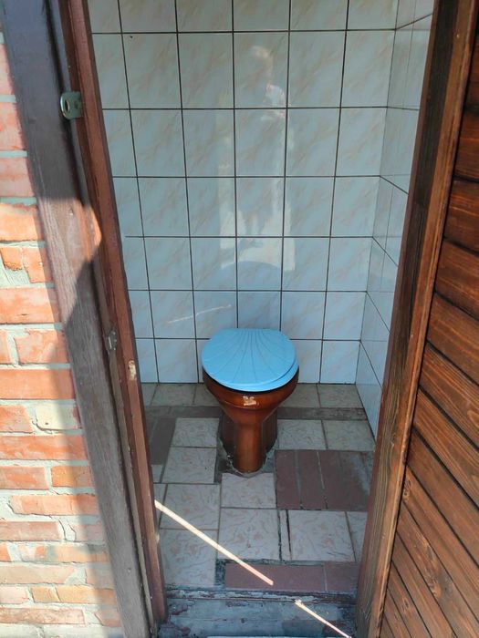 Гарний дачний будинок. Мачухи.