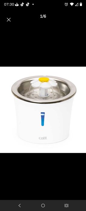 Bebedouro Fonte água gato