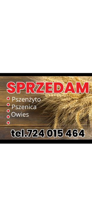 Pszenica Pszenżyto owies