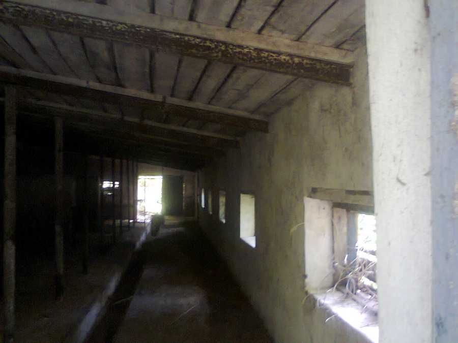 Забойный цех и свинарник в Голованевске