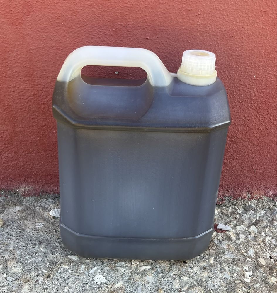 Azeite 2023 5 litros-35€