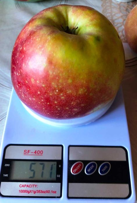 Монофосфат калия . . 5кг. на развес с мешка.