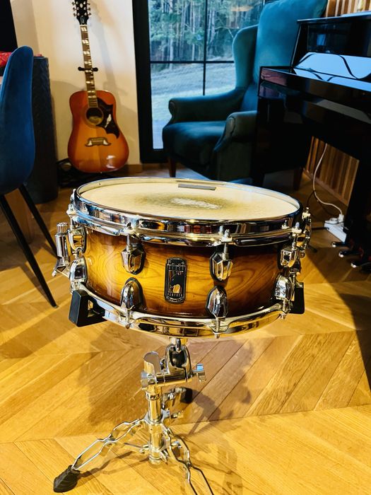 Werbel Mapex Black Panther