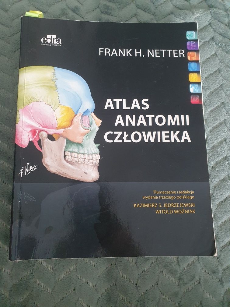 Atlas anatomii człowieka Netter