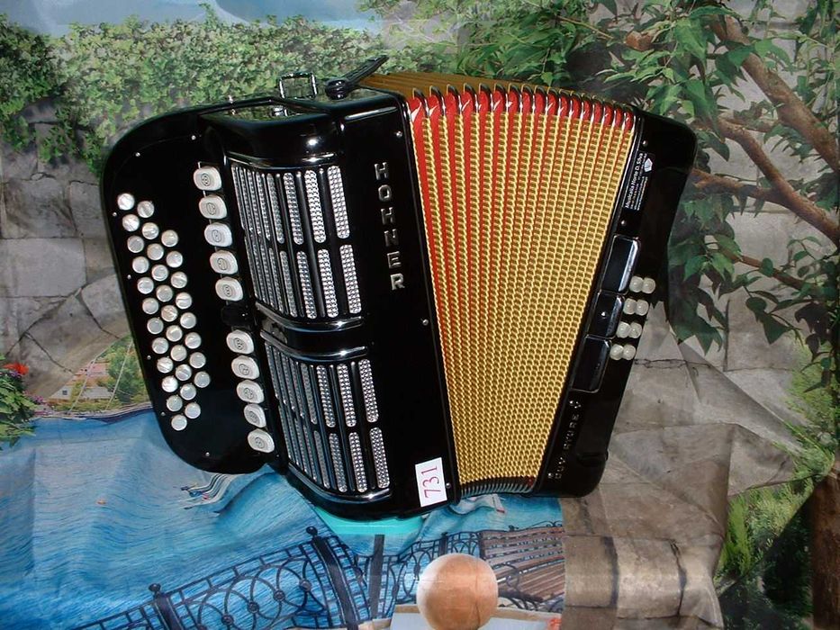 Concertina a venda n.731