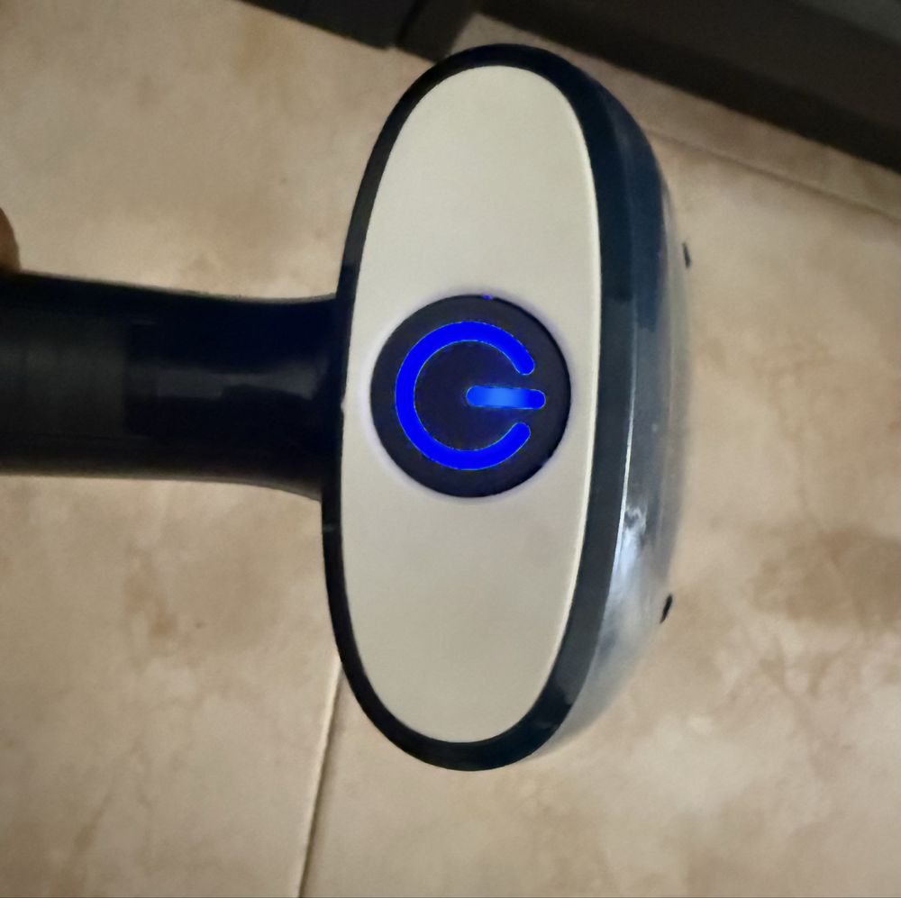 Rowenta Ferro a Vapor Verical como Novo