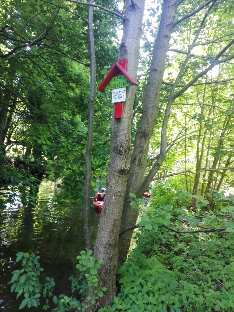 Noclegi domki nad jeziorem Hartowieckim Leśne Zacisze