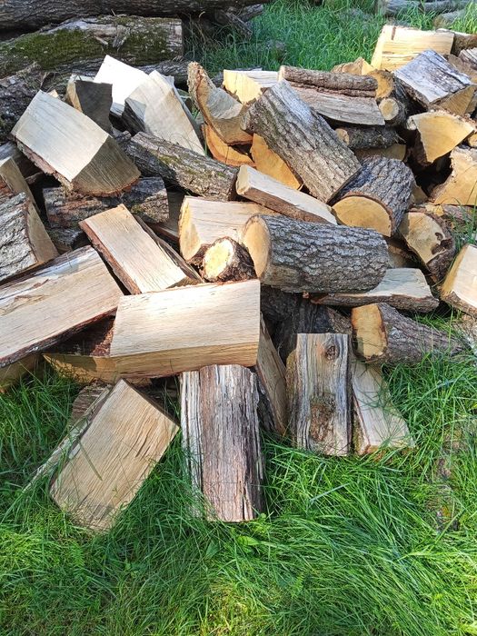 Drewno opałowe bukowe