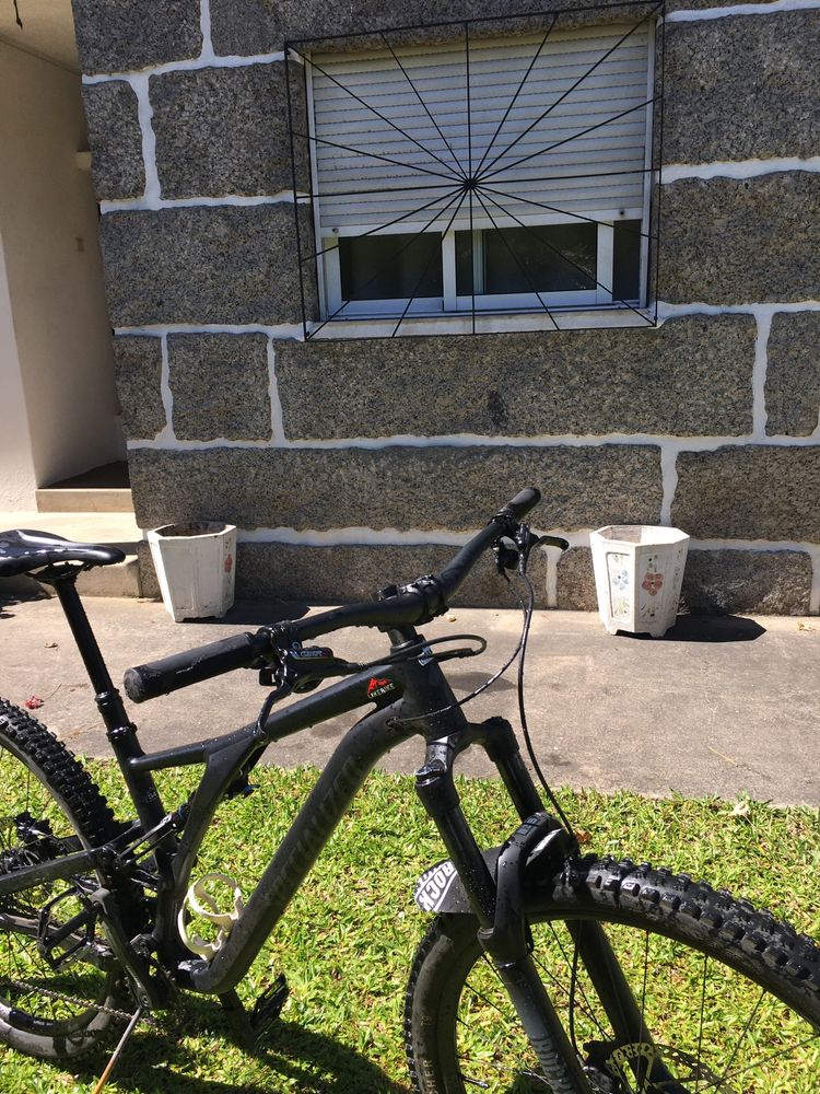 Specialized stumpjumper alloy 2024