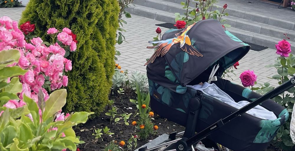 Коляска Cybex Priam birds of paradise