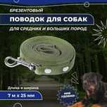 Прочный поводок, для дрессировки и выгула 2м х 2,5 см