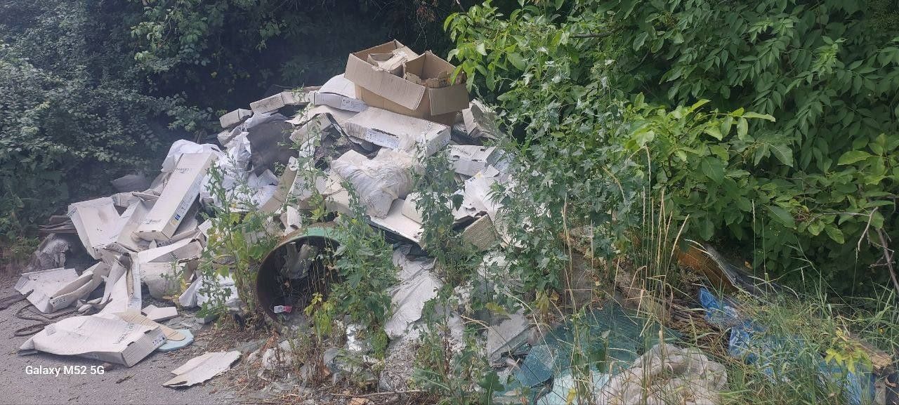 Вивіз сміття мотлоху дивану меблів Львів Сихів Левандівка Боднарівка
