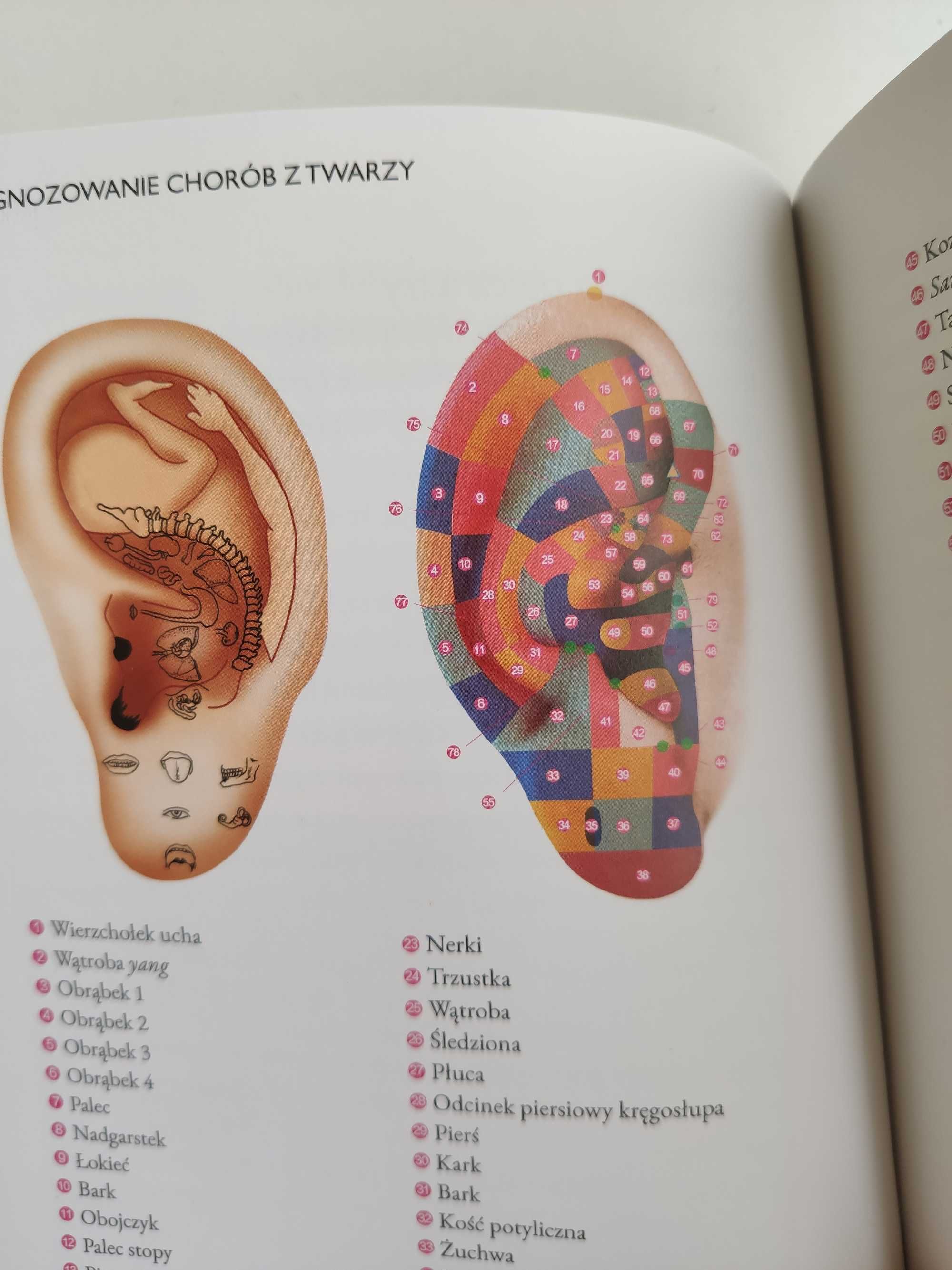 Diagnozowanie chorób z twarzy. Naturalne leczenie zgodnie z Chin Nowa