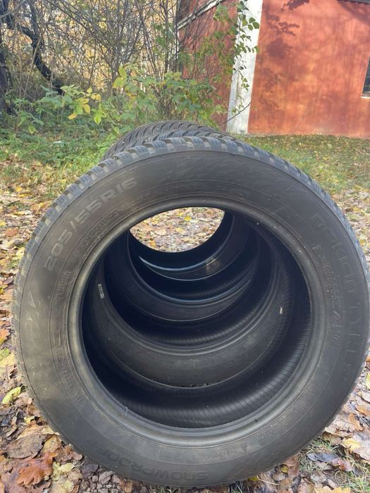 Зимові Шини Nokian R16 205/55
