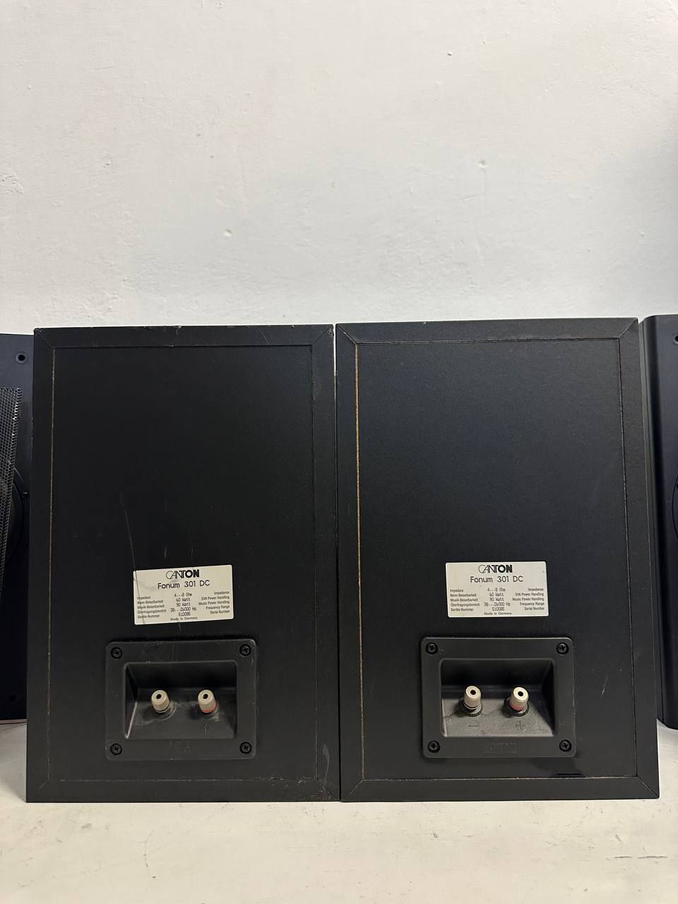 90 Watt! Kolumny Canton Fonum 301
