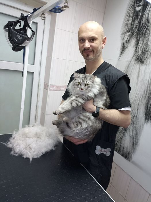 Стрижка собак и кошек