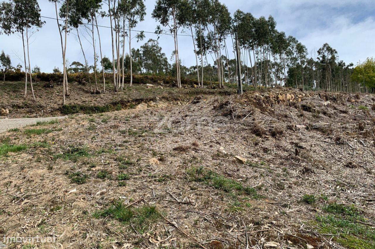 Terreno para exploração florestal e agrícola - Santa Justa, Valongo