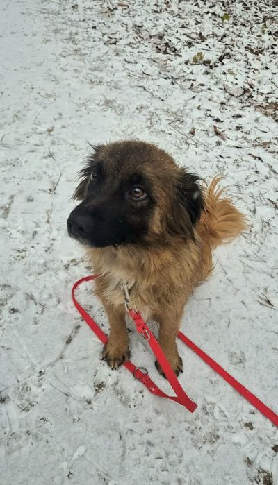 Najsłodsza Mamusia szuka domu!