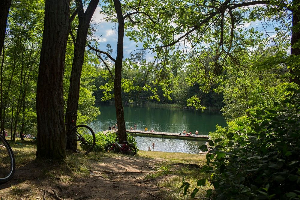 Tani domek letniskowy Mazury nad jeziorem noclegi pokoje domki las