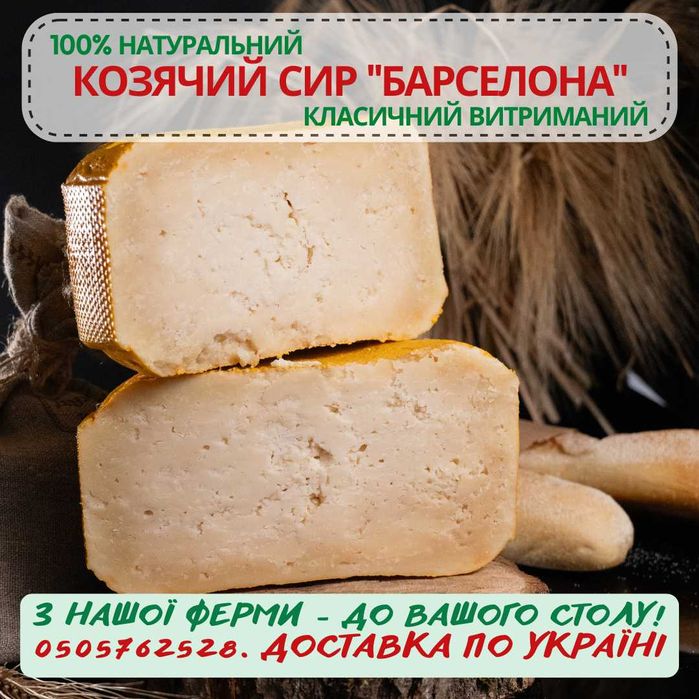 Сирний сет з 8 видів твердого козячого сиру, 1 кг