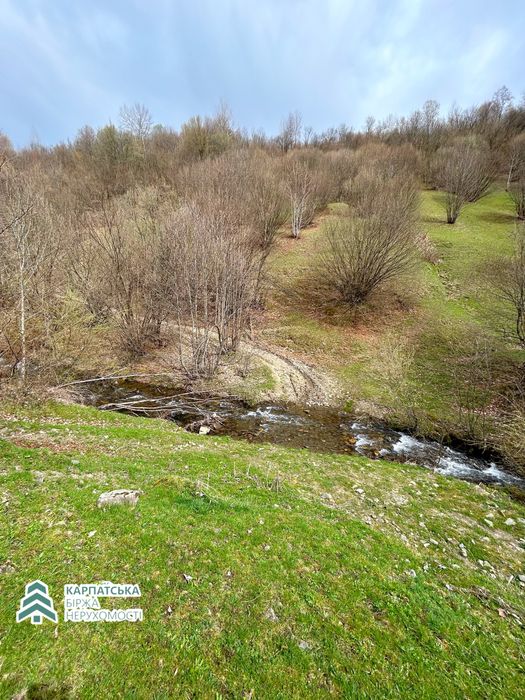 Земельна ділянка в селі Колочава