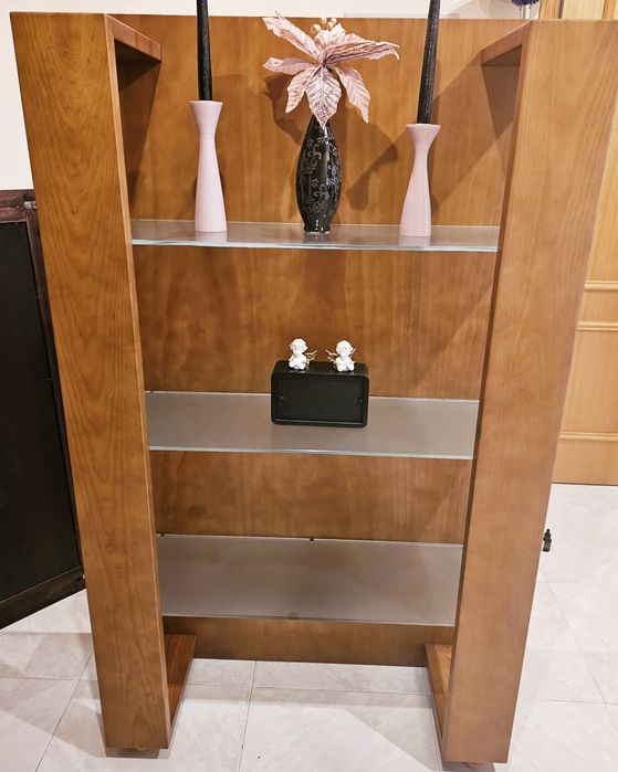 Estante elegante de vidro e madeira nova