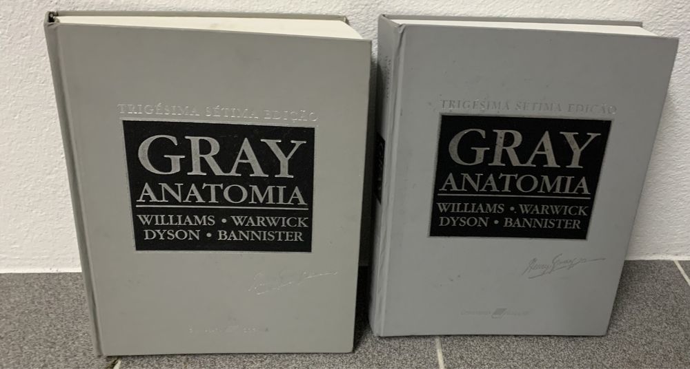Anatomia gray 37a edição